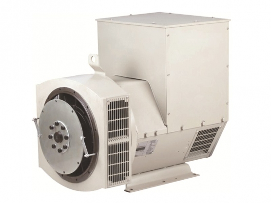 224 Series Бесщеточный Synchronous AC генератор переменного тока 